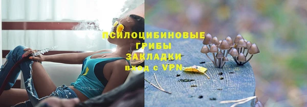 трава Арсеньев