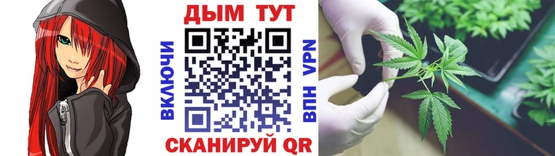 Марихуана конопля  Купить  Новоульяновск 